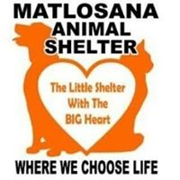 matlosana-animal-shelter